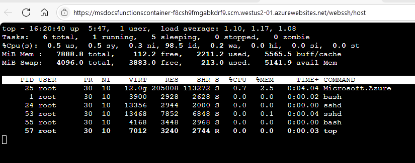 Screenshot: In einer SSH-Sitzung ausgeführter Linux-Befehl „top“.