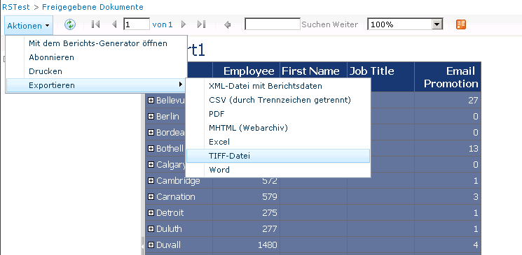 Berichts-Viewer-Webpart