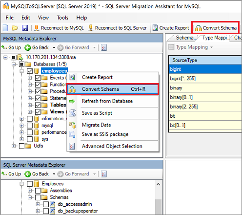 Screenshot: Feature „Schema konvertieren“