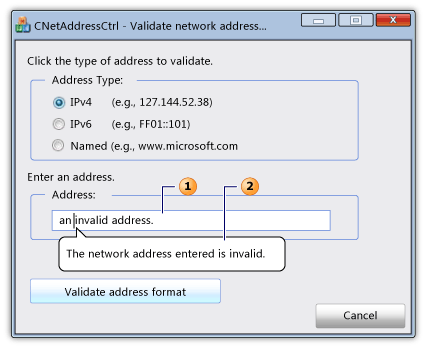 Dialog with a network address control and infotip. Dialog with a network address control and infotip.