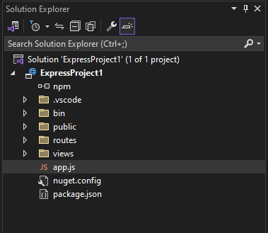 Screenshot of the new project open Solution Explorer in Visual Studio 2022.