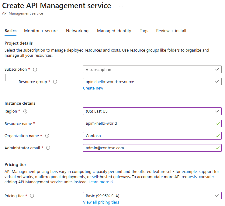 Screenshot che mostra le impostazioni di base per creare un'istanza di Gestione API.
