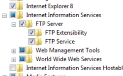 Immagine del nodo Internet Information Services e F T P Server espanso con F T P Service e F T P Extensibility selezionato.