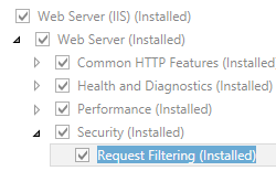 Screenshot che mostra il riquadro Server Web e Sicurezza espanso e l'opzione Filtro richieste selezionata.