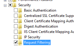 Screenshot del riquadro Servizi Web e sicurezza espanso con l'opzione Filtro richieste selezionata.