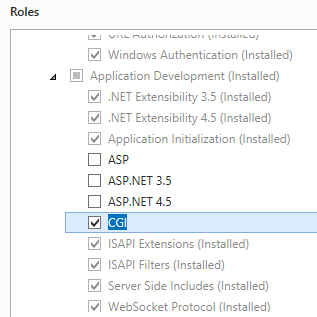 Screenshot che mostra l'opzione C G I selezionata per Windows Server 2012.