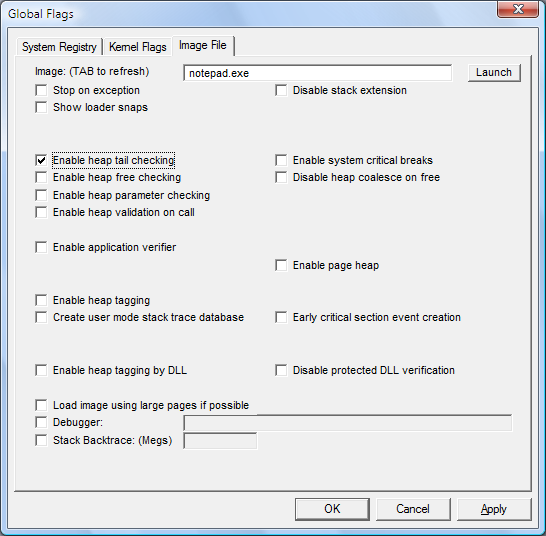 Screenshot della scheda Immagine File in Windows Vista.