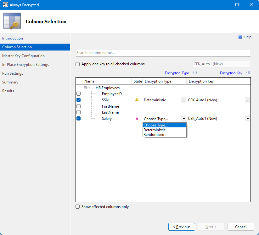 Always Encrypted ウィザードの列の選択画面のスクリーンショット。