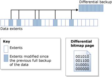 Bitmap diferencial identifica extensões alteradas